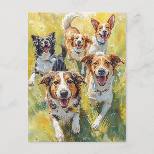 Carte Postale Chiots heureux (Devant)