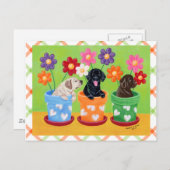 Carte Postale Chiots Labrador en Pot de Fleurs (Devant / Derrière)
