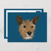 Carte Postale chiots lavants (Devant / Derrière)