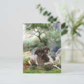 Carte Postale Chiots mignons à poignets allemands (Debout devant)