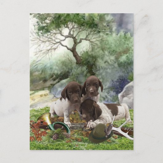 Carte Postale Chiots mignons à poignets allemands (Devant)