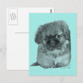 Carte Postale Chiots Pékinois (Devant / Derrière)