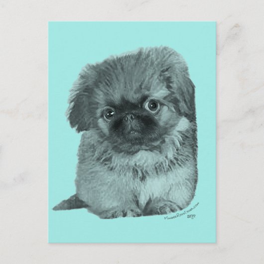 Carte Postale Chiots Pékinois (Devant)