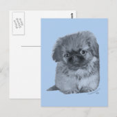 Carte Postale Chiots Pékinois Bleu (Devant / Derrière)