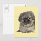 Carte Postale Chiots Pékinois Jaune (Devant / Derrière)
