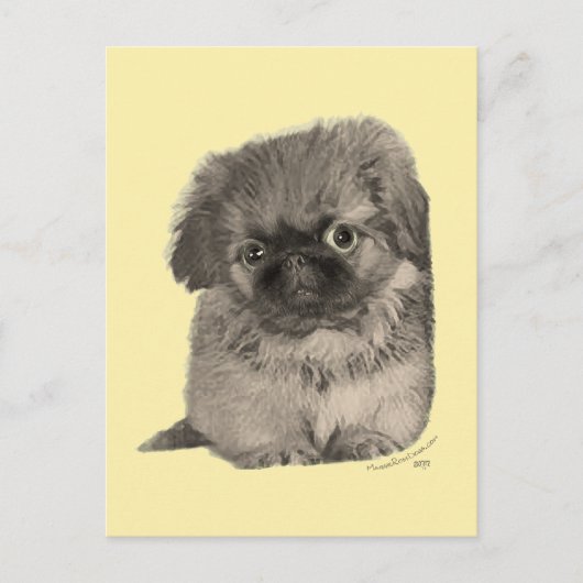 Carte Postale Chiots Pékinois Jaune (Devant)