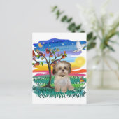 Carte Postale Chiots Shih Tzu #2 (Debout devant)