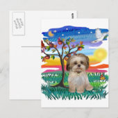 Carte Postale Chiots Shih Tzu #2 (Devant / Derrière)