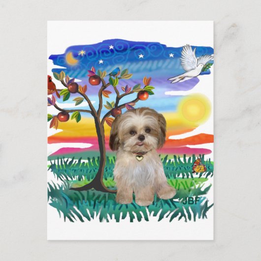 Carte Postale Chiots Shih Tzu #2 (Devant)