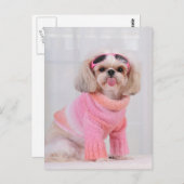 Carte Postale Chiots Shih Tzu - La langue tirée (Devant / Derrière)