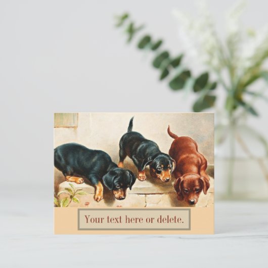 Carte Postale Chiots Teckel Rétro Drôle Mignon Personnalisé Vint (Debout devant)