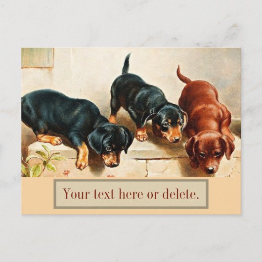 Carte Postale Chiots Teckel Rétro Drôle Mignon Personnalisé Vint (Devant)