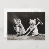 Carte postale Chiots vintages et chatons (Devant / Derrière)