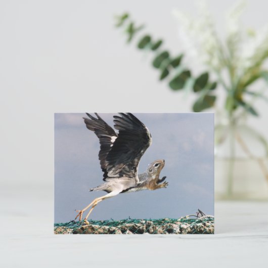 Carte Postale Chipheron (Debout devant)