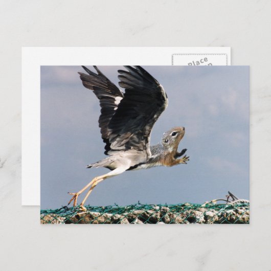 Carte Postale Chipheron (Devant / Derrière)