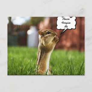 Carte Postale Chipmun prie S'Il Vous Plaît Pardonnez-Moi