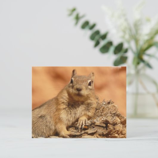 Carte postale Chipmunk (Debout devant)