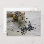 Carte Postale Chipmunk (Devant / Derrière)