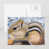 Carte Postale Chipmunk (Devant / Derrière)