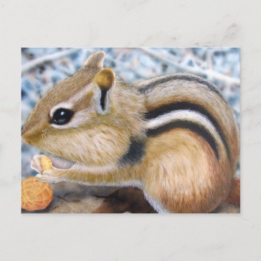 Carte Postale Chipmunk (Devant)