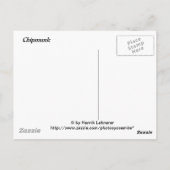 Carte Postale Chipmunk (Dos)