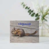 Carte postale Chipmunk (Debout devant)