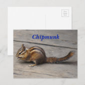 Carte postale Chipmunk (Devant / Derrière)