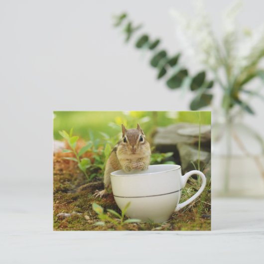 Carte Postale Chipmunk avec Teacup (Debout devant)