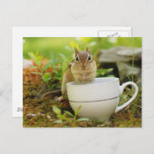 Carte Postale Chipmunk avec Teacup (Devant / Derrière)