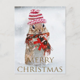 Carte Postale Chipmunk de Noël