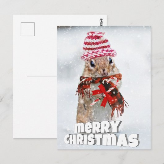 Carte Postale Chipmunk de Noël (Devant / Derrière)