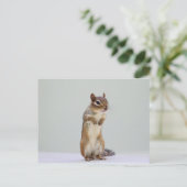 Carte Postale Chipmunk debout photo (Debout devant)