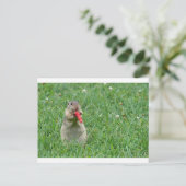 Carte Postale Chipmunk.JPG (Debout devant)