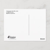 Carte Postale Chipmunk mangeant des champignons (Dos)