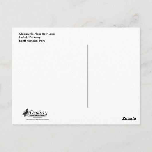 Carte Postale Chipmunk mangeant des champignons (Dos)