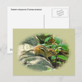 Carte Postale Chipmunk oriental sur Stump (Devant / Derrière)