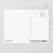 Carte Postale Chipmunk patriotique (Dos)