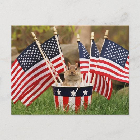 Carte Postale Chipmunk patriotique (Devant)