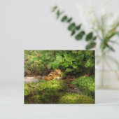Carte Postale Chipmunk - Quelle mignonne (Debout devant)