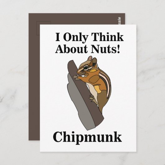 Carte Postale Chipmunk Rodent Funny (Devant / Derrière)