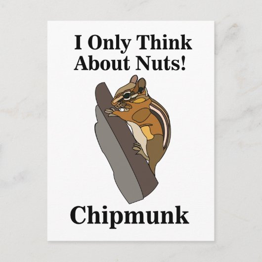 Carte Postale Chipmunk Rodent Funny (Devant)