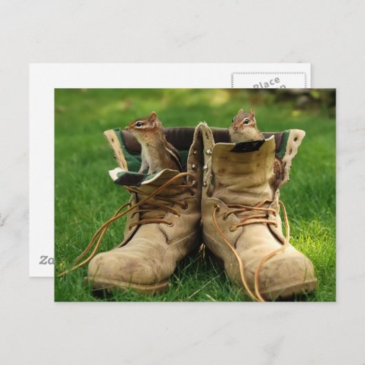 Carte Postale Chipmunks en bottes (Devant / Derrière)