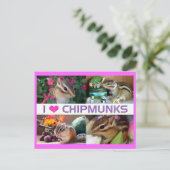 Carte Postale Chipmunks pohto (Debout devant)
