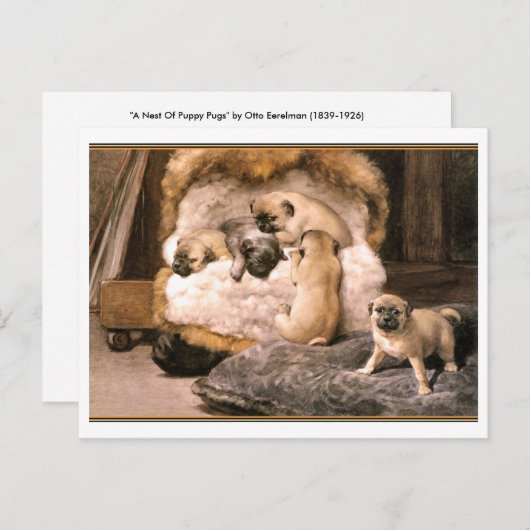 Carte Postale Chipons carlin (Devant / Derrière)