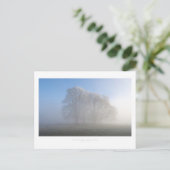 Carte Postale Chipping Campden (Debout devant)