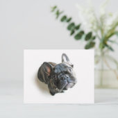 Carte Postale Chippon français (Debout devant)