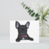 Carte Postale Chippon français (Debout devant)