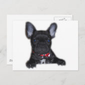 Carte Postale Chippon français (Devant / Derrière)