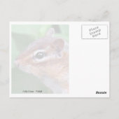 Carte Postale Chippy (Dos)
