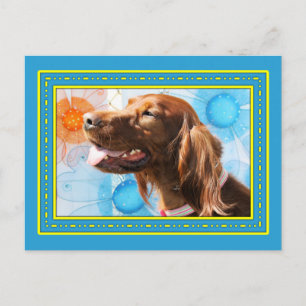 Carte Postale Chiquilla - Irish Setter -3